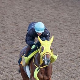 【飯島の土曜競馬コラム・葵Ｓ】