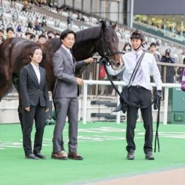 【木津の土曜競馬コラム・アハルテケＳ】