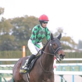 【武田の土曜競馬コラム・葵Ｓ】