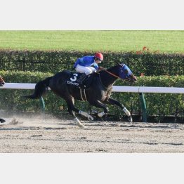 東京マイルは5戦3勝