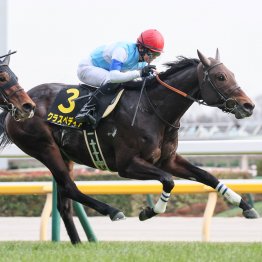 【藤岡の土曜競馬コラム・葵Ｓ】