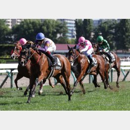 昨年は新馬→オープンを連勝