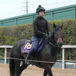 【日本ダービー】出走全馬の特選情報