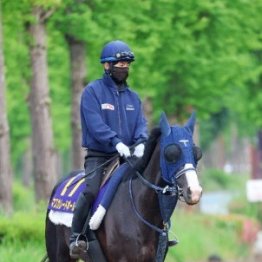 【日本ダービー】出走全馬の特選情報