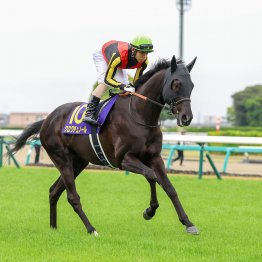今度は結果がついてくる