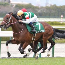 【新居の日曜競馬コラム・日本ダービー】