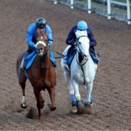 【木津の日曜競馬コラム・目黒記念】