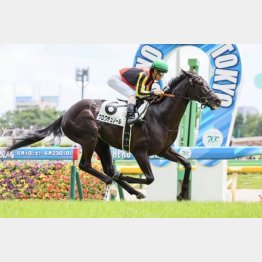 新馬戦の走りに惚れ込んだ