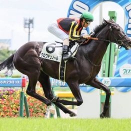 【武田の日曜競馬コラム・日本ダービー】