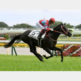20年は1番人気コントレイルが2冠達成