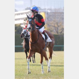 ３連勝だ