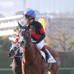 【大阪本紙・弘中の日曜京都10Ｒ】
