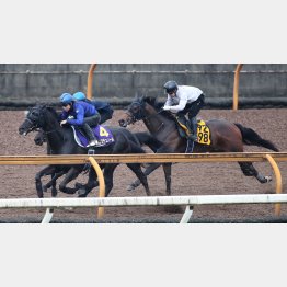 1週前は併せ馬の外へ