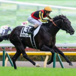 【日本ダービー】クロワデュノールが１番人気に応えて３歳馬の頂点に