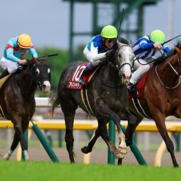 【目黒記念】アドマイヤテラが人気に応えて重賞初制覇