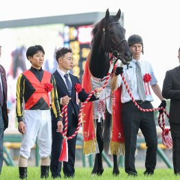 キタサンブラック産駒のクロワデュノールとイクイノックスに共通する配合