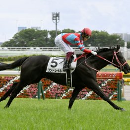 キタサンブラック産駒のクロワデュノールとイクイノックスに共通する配合