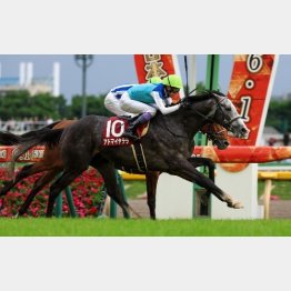 首差競り勝った