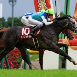 【目黒記念】アドマイヤテラ重賞初制覇