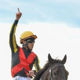 【日本ダービー】クロワデュノール横綱相撲で完勝