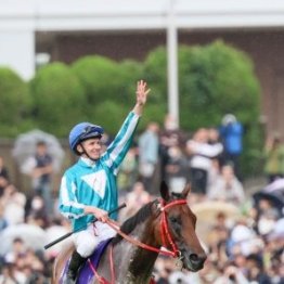 【安田記念】ソウルラッシュ、ジャンタルマンタル中心に激戦必至