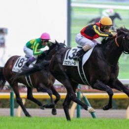 クロワデュノールの勝利は私にとっても…