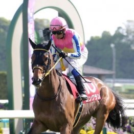 【安田記念】大器晩成の野武士ロングラン、ＧⅠも取る