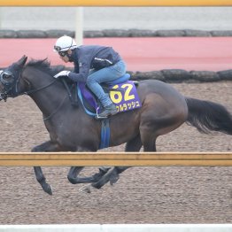 【安田記念】ドバイの衝撃を府中でも。世界Ｖソウルラッシュが浜中と挑む