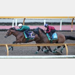 ベラジオオペラは3頭併せでビッシリと