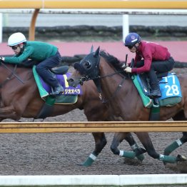 【宝塚記念１週前】ベラジオオペラ順調
