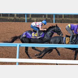 横山武が騎乗した