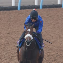 【安田記念】シックスペンス、１Ｆ１１秒０で先着