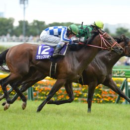 【安田記念】勝てないＮＨＫマイルＣ馬　今年はジンクスを破れるか