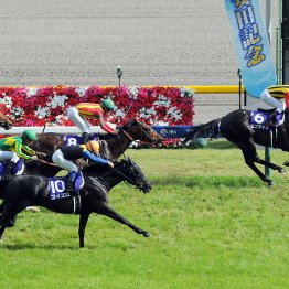 【安田記念】データ作戦６歳勢に要注意