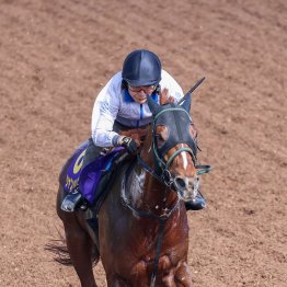 【安田記念】ダービー卿ＣＴ組が勝ち名乗り！？