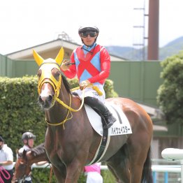 【田中の土曜競馬コラム・阪神８Ｒ】