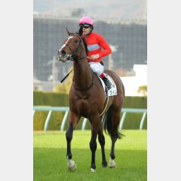 素質馬がここも突破