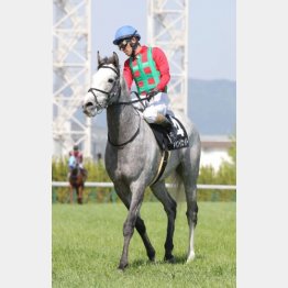 殻を破った今なら連勝可