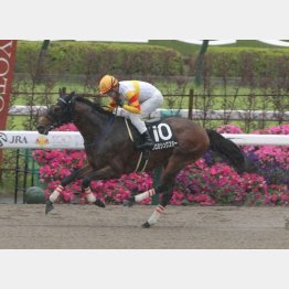 連勝を狙う