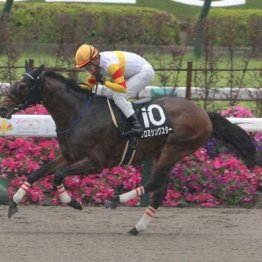 【市川の土曜競馬コラム・麦秋Ｓ】