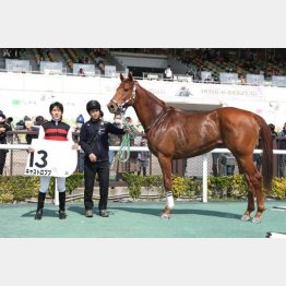 好調男が勝利に導く