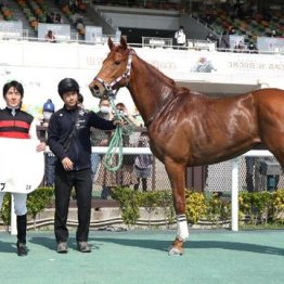 【新居の土曜競馬コラム・東京12Ｒ】