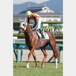 今度はレーン騎乗で狙いどき