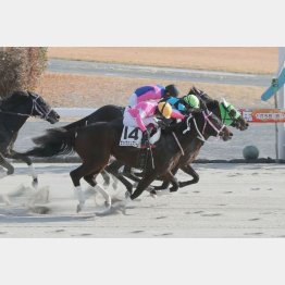今年初戦を快勝(中)