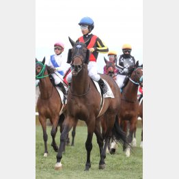 古馬相手でも