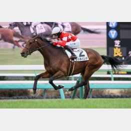 初勝利は3馬身差