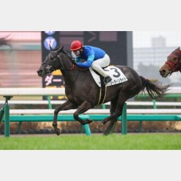 前走で１勝クラスを快勝