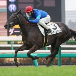 【東京本紙・外山の土曜東京10Ｒ】