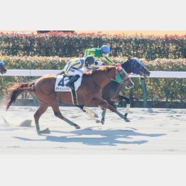 東京で初勝利(内)
