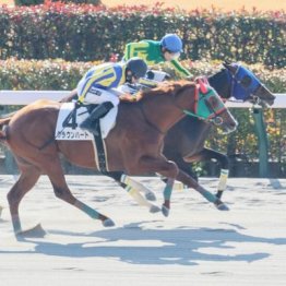 【東京本紙・外山の土曜東京12Ｒ】